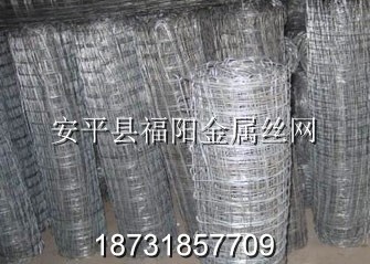 煤礦支護網
