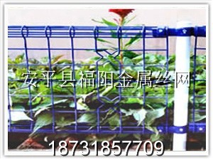 雙圈護欄網