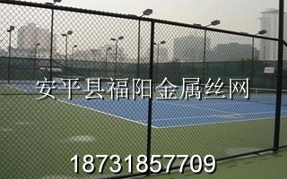 體育場圍網