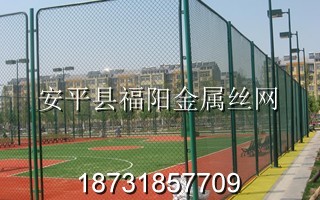 體育場圍網